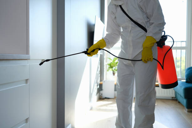 Certified Mold Removal in Avon Lake, OH